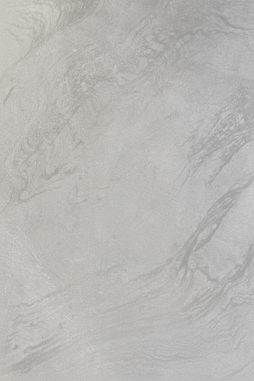 Hellgraue Steinoptik Fliese 60x120 cm Matt – Rektifiziertes Feinsteinzeug für Boden & Wand